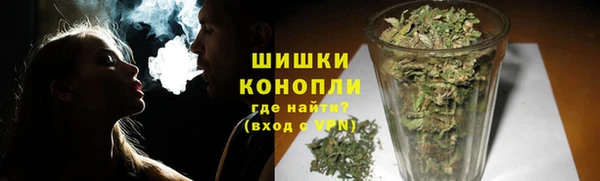 индика Верея