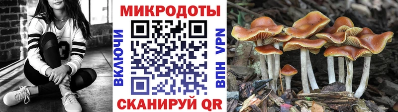 Галлюциногенные грибы ЛСД Кириллов