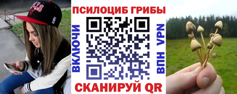 Псилоцибиновые грибы мухоморы Кириллов